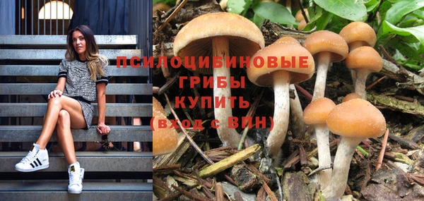 индика Алексин