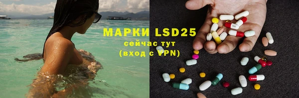 индика Алексин