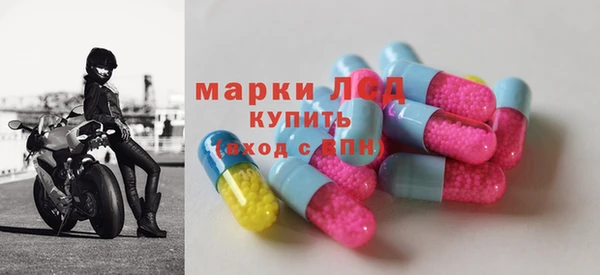 индика Алексин