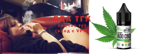 индика Алексин