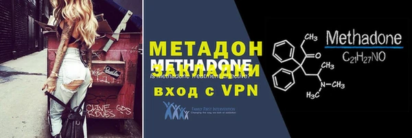 индика Алексин