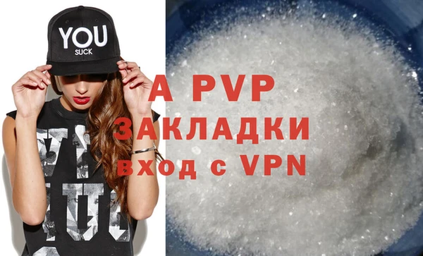 индика Алексин