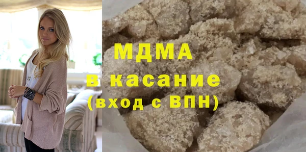 индика Алексин