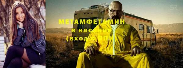 индика Алексин