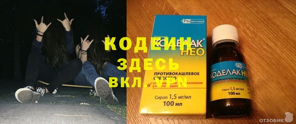индика Алексин