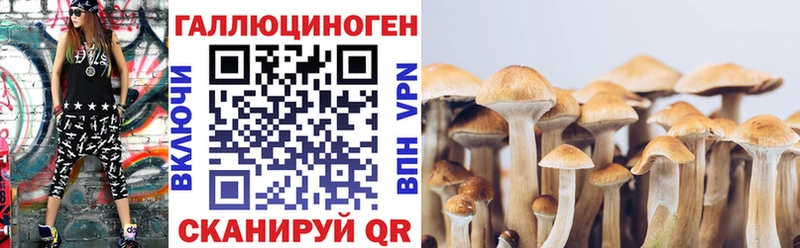 Псилоцибиновые грибы мухоморы  Павловская 